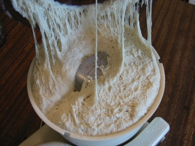 gluten