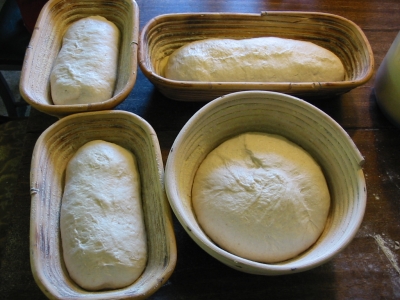 dough proofing
