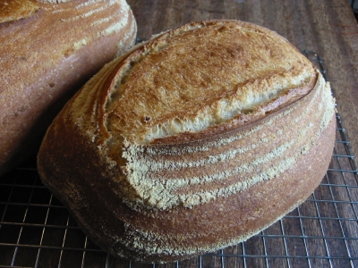 Basic WHite Sourdough