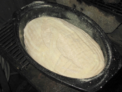 dough in roaster