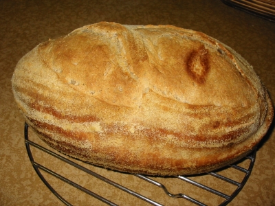 sour saga bread