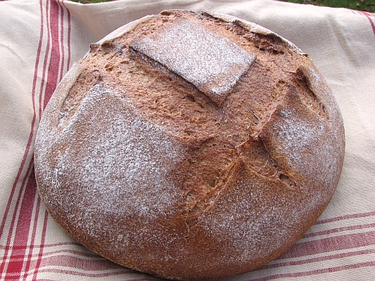 Miche Wholegrain Sourdough Miche