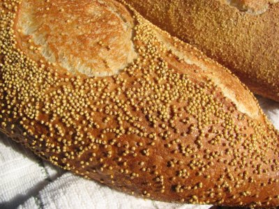 Sourdough Millet Loaf