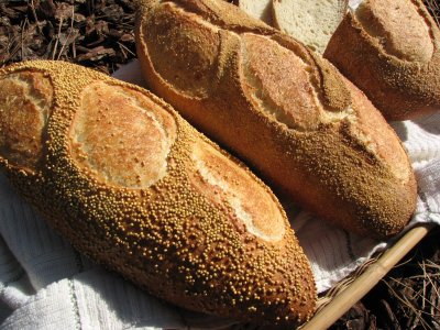More Millet loaves