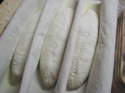 loaves proofing