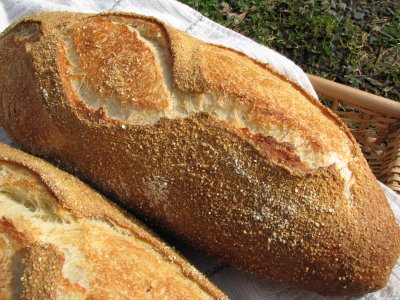 Crust closeup