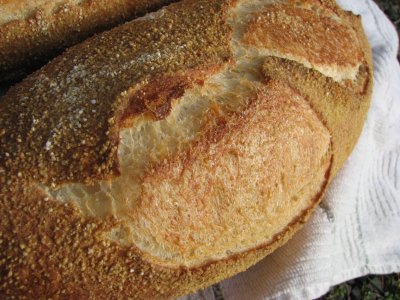 Another crust closeup