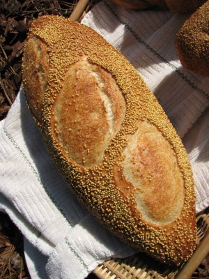 Whole Millet on the crust