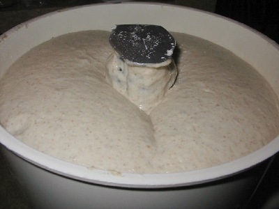 fermented