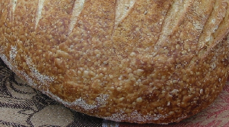 crust
