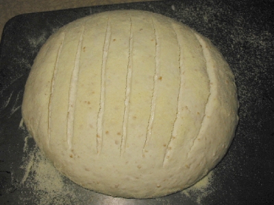 slashed boule