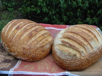 two loaves