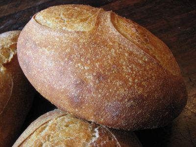 Sourdough White with Northwest starter