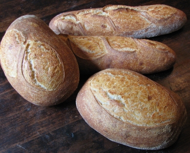 NW Basic White sourdough