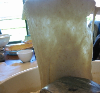 gluten