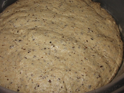 dough