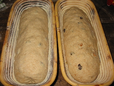 raisin loaves proofing