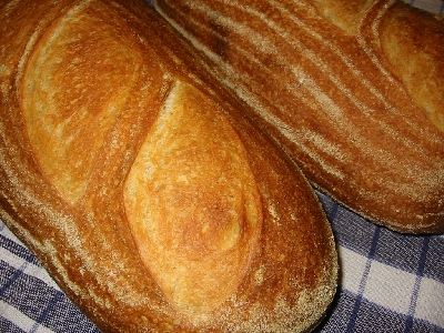 closeup