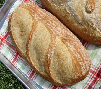 loaf # 1