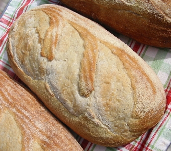 loaf # 2