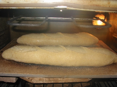 two loaves