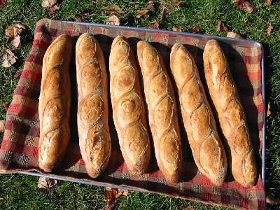 all five baguettes