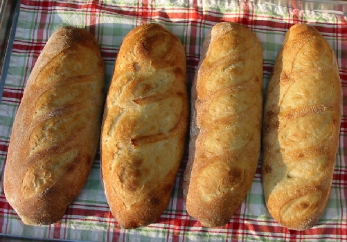four out of the oven