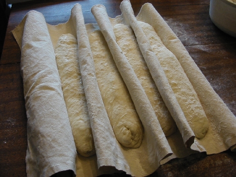 dough waiting