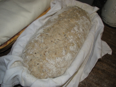 dough proofing