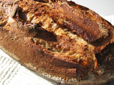 closeup crust