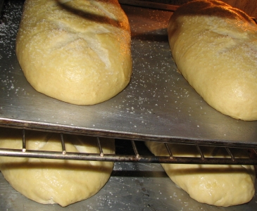 pretzel dough baking