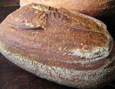 San Francisco Loaf