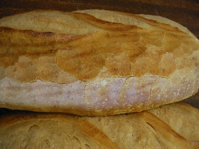 side view of the crust