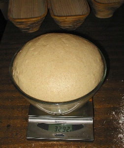 dough