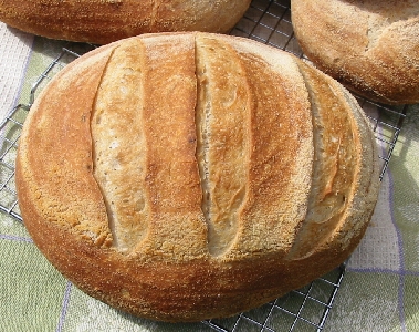 one loaf