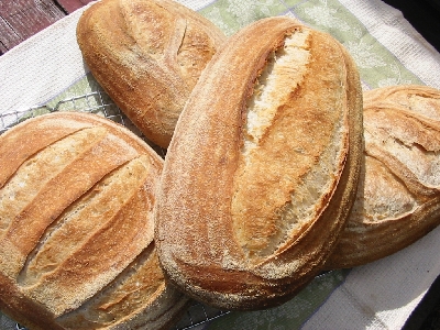 all loaves