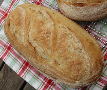 first loaf