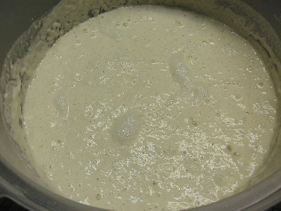 sponge starter