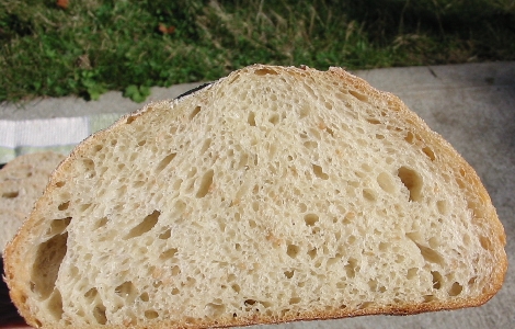 closeup of crumb