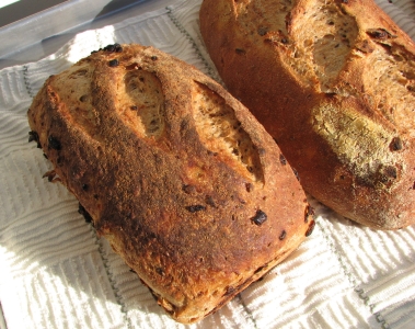 Serious Onion Rye regular loaf
