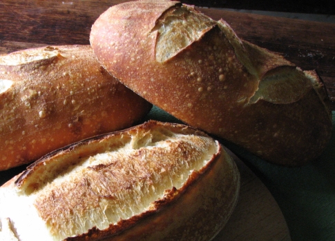 Northwest Sourdough