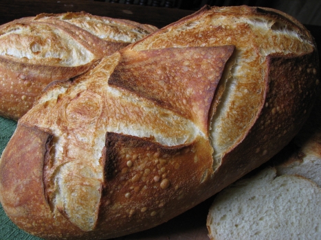 Northwest Sourdough Loaves