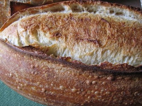 Northwest Sourdough Loaves