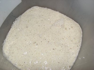 Spelt Sponge