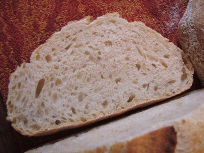 Spelt Crumb