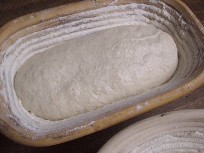 Beginning Proof