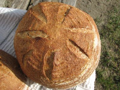 Spelt Sourdough