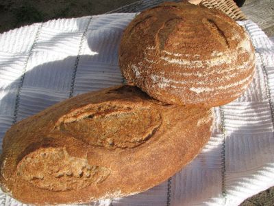 Spelt Sourdough