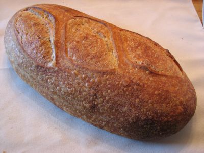 Basic White/Spelt Sourdough