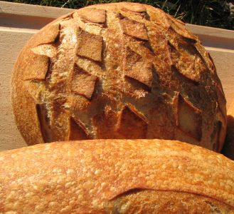 Basic White/Spelt Sourdough